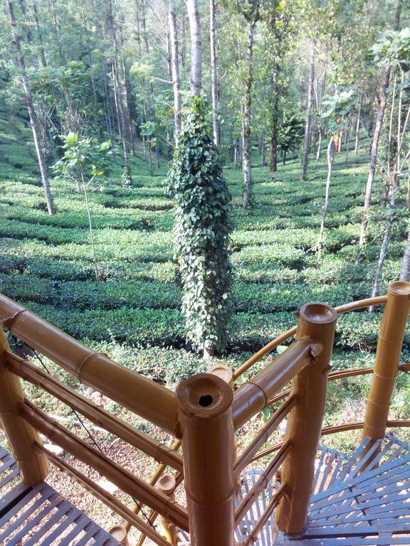 Jungle Jive Tree House Munnar Bed & Breakfast ห้อง รูปภาพ