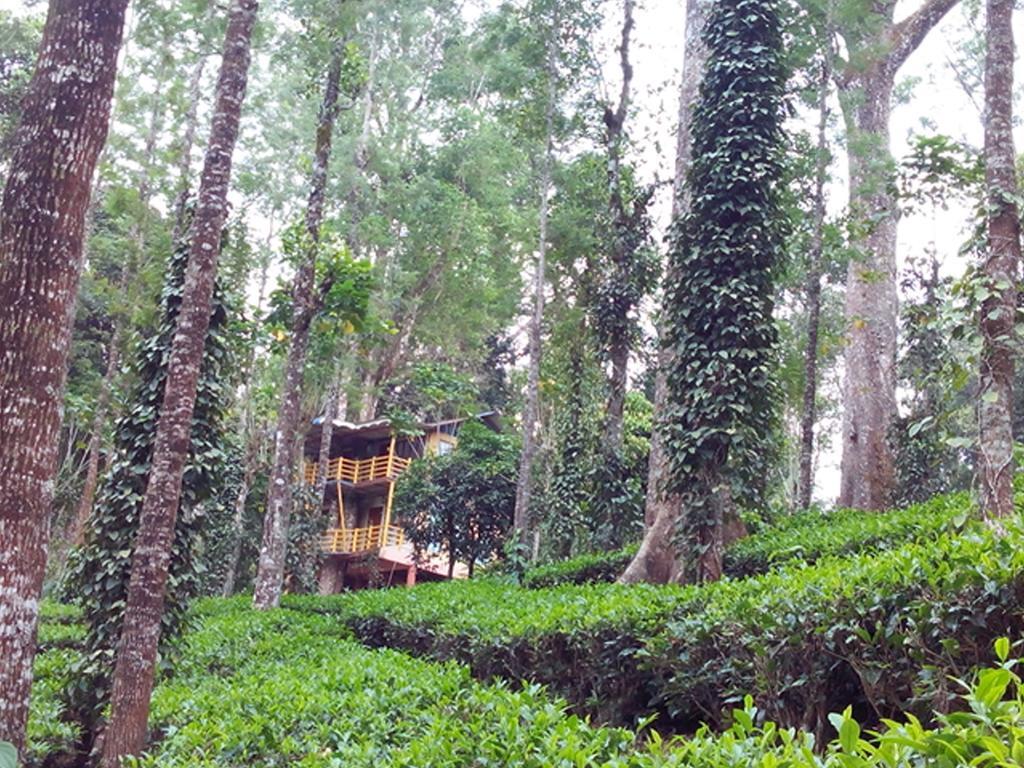 Jungle Jive Tree House Munnar Bed & Breakfast ภายนอก รูปภาพ