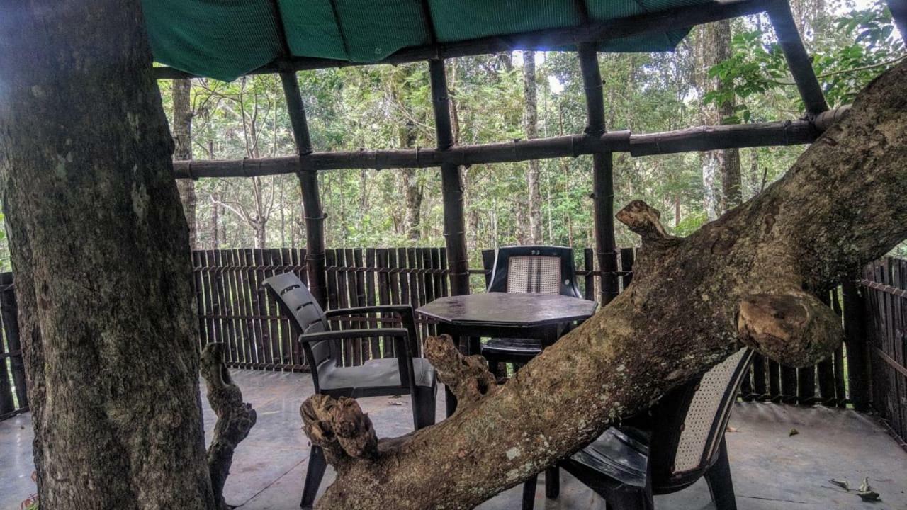 Jungle Jive Tree House Munnar Bed & Breakfast ภายนอก รูปภาพ
