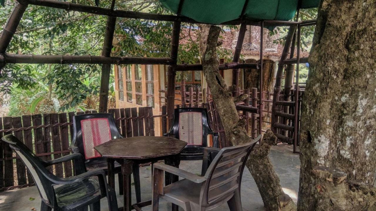 Jungle Jive Tree House Munnar Bed & Breakfast ภายนอก รูปภาพ